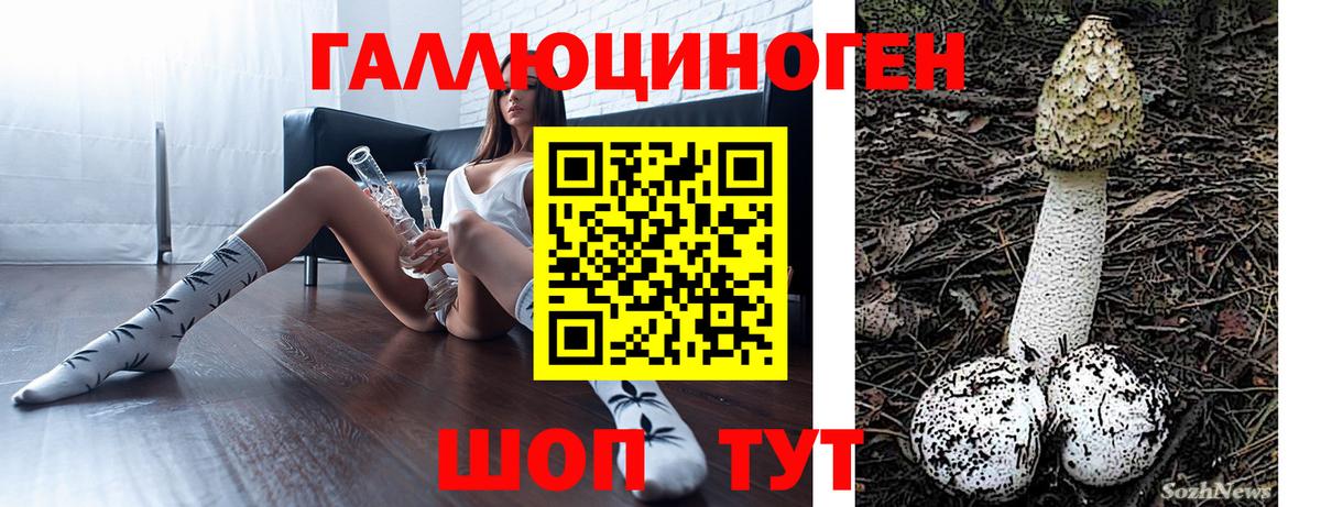 Псилоцибиновые грибы ЛСД  Псилоцибиновые грибы MAGIC MUSHROOMS  Вход с VPN  Новоалтайск 
